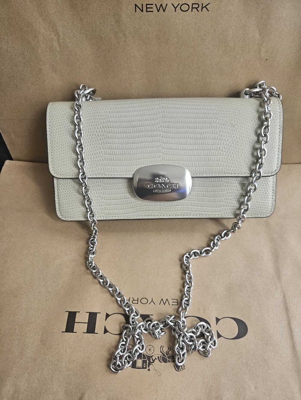 Coach Eliza Flap Crossbody Bag Silver / Pale Green CR106
